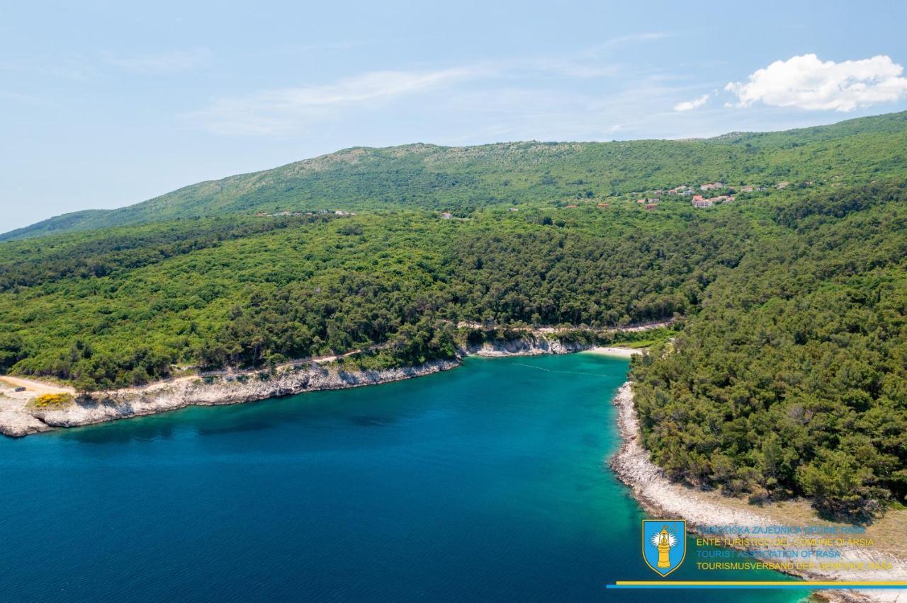 Villa Diamond Yourcroatiaholiday Drenje  المظهر الخارجي الصورة